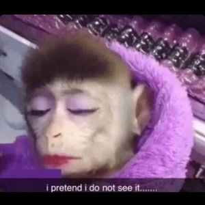 Meet your Posher, Edgar